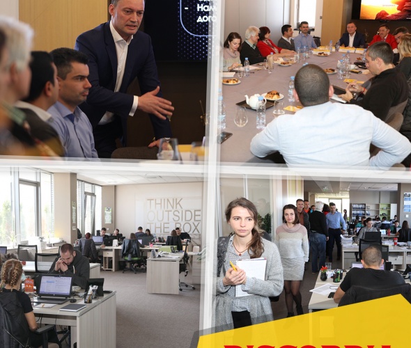 Innovation, Differentiation and Perfectionism